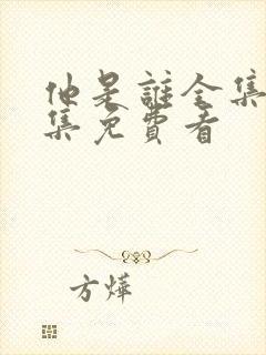 他是谁全集24集免费看