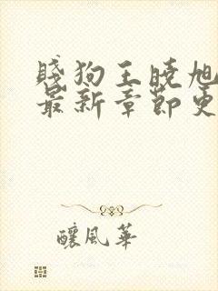 贱狗王晓旭小说最新章节更新时间