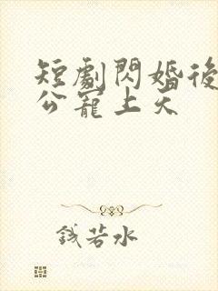 短剧闪婚后被老公宠上天