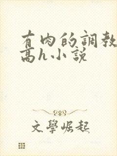 有肉的调教np高h小说