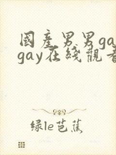 国产男男gaygay在线观看