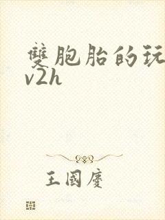 双胞胎的玩具1v2h