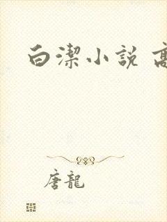白洁小说 高义