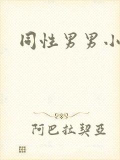同性男男小说