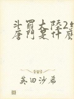 斗罗大陆2绝世唐门是什么时候出的封面