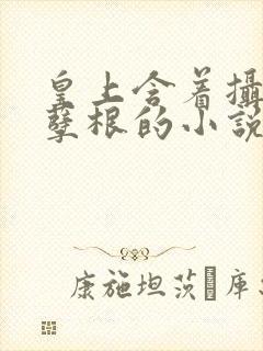 皇上含着摄政王孽根的小说