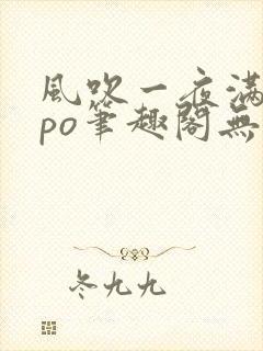 风吹一夜满关山po笔趣阁无弹窗