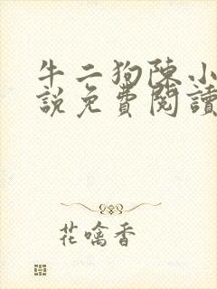 牛二狗陈小燕小说免费阅读全文无弹窗