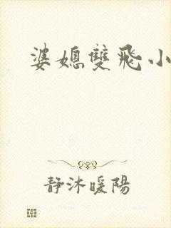 婆媳双飞小说封面