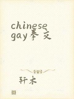 chinesegay拳交