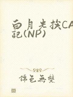 白月光挨CAO记(NP)