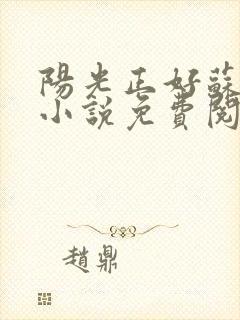 阳光正好苏玥玥小说免费阅读