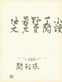 他最野了小说全文免费阅读无弹窗