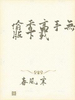 偷香高手无删减版下载