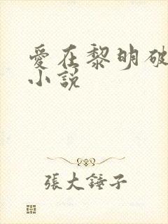 爱在黎明破晓前小说