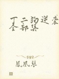 丁二狗逆袭人生全部集