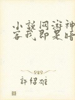 小说网游神级刺客我即是暗影封面