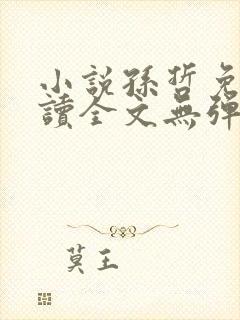 小说孙哲免费阅读全文无弹窗