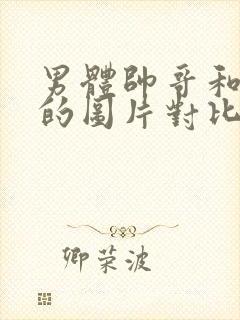 男体帅哥和男模的图片对比封面