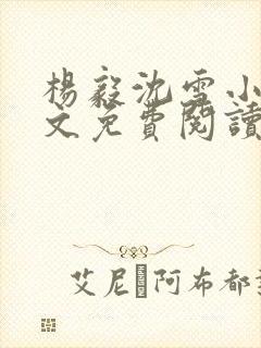 杨毅沈雪小说全文免费阅读封面