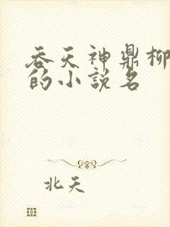 吞天神鼎柳无邪的小说名