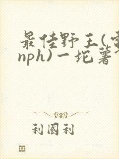 最佳野王(电竞nph)一坨薯饼封面
