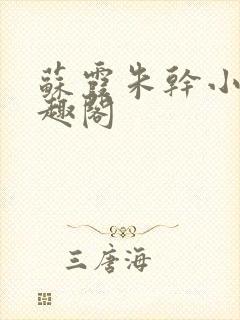 苏霞朱干小说笔趣阁