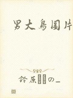 男大鸟图片