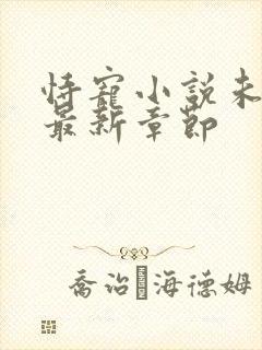 恃宠小说未删版最新章节