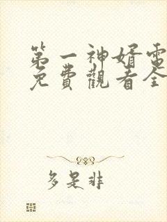 第一神婿电视剧免费观看全集高清