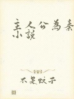 主人公为秦峰的小说