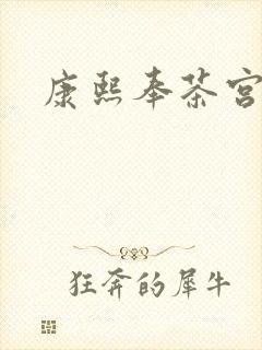 康熙奉茶宫女封面