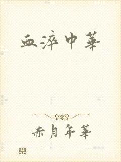 血淬中华封面