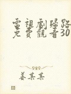 电视剧归路全集免费观看30集高清