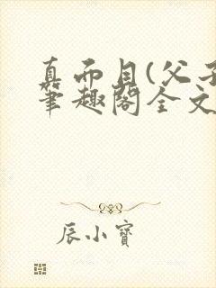 真面目(父子)笔趣阁全文