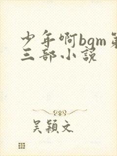 少年啊bgm第三部小说