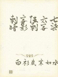 刺客伍六七中的暗影刺客柒