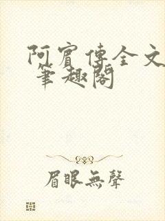 阿宾传全文阅读 笔趣阁