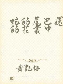 蛇的尾巴还在我的花丛中