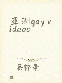 亚洲gay videos封面