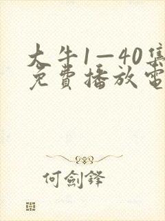 大牛1—40集免费播放电视剧