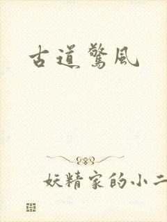 古道惊风封面