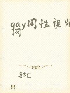gay同性视频网