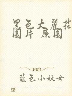 黑色大丽花真实图片 原图