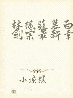 林枫苏慕白神霄剑宗最新章节列表