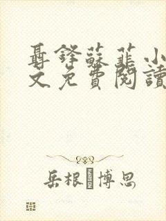 聂锋苏菲小说全文免费阅读封面