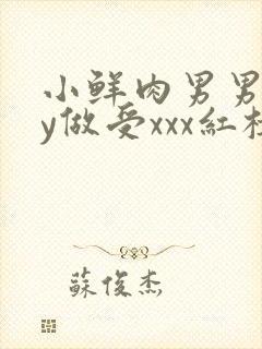 小鲜肉男男gay做受xxx红楼封面