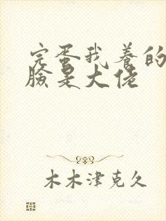 完蛋我养的小白脸是大佬