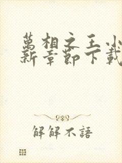 万相之王小说最新章节下载封面