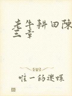 老牛耕田陈雪第三章